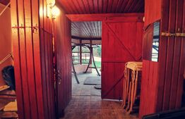 Vila P+1, 175 mp, 734 mp teren intravilan, Leamna de Jos