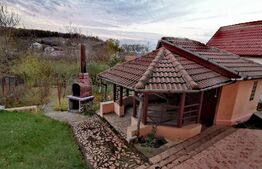 Vila P+1, 175 mp, 734 mp teren intravilan, Leamna de Jos