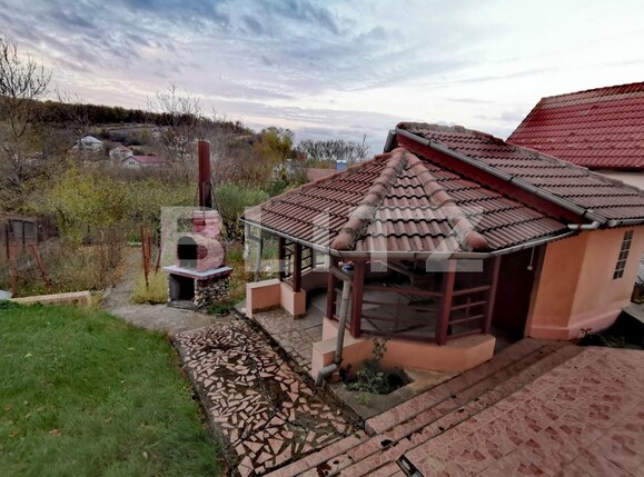 Casa de vânzare 5 camere Leamna de Jos - 103296CV | BLITZ Craiova | Poza17