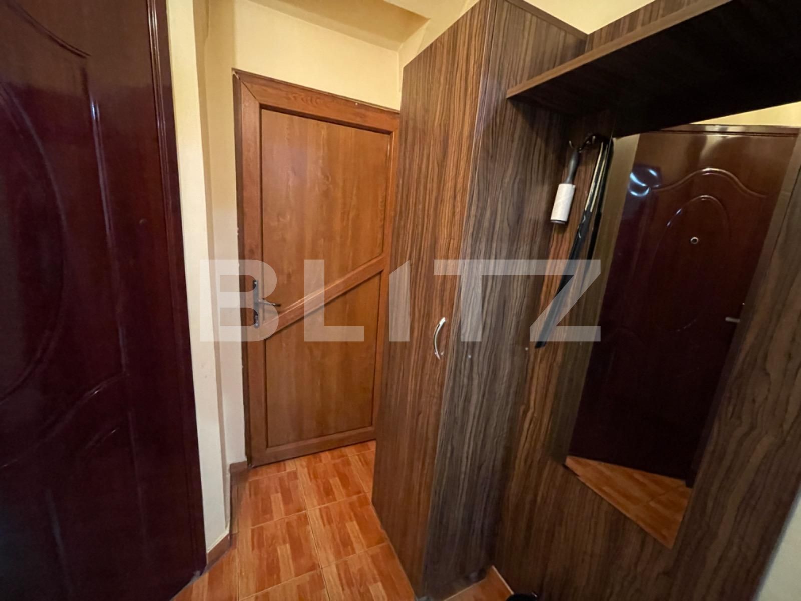 Apartament de închiriat 2 camere Lapus Arges - 103391AI | BLITZ Craiova | Poza4