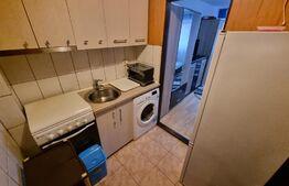 Camera de camin transformata in garsoniera, 20 mp, zona Valea Rosie