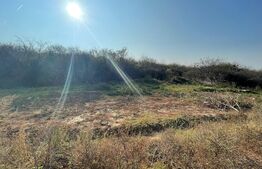 Teren Curtea Regala, 1023 mp, zona Metro