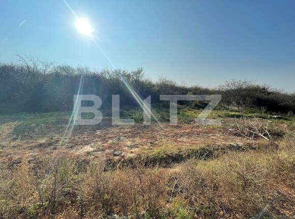 Teren de vânzare Carcea  - 103533TV | BLITZ Craiova | Poza4