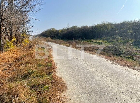 Teren de vânzare Carcea  - 103533TV | BLITZ Craiova | Poza3