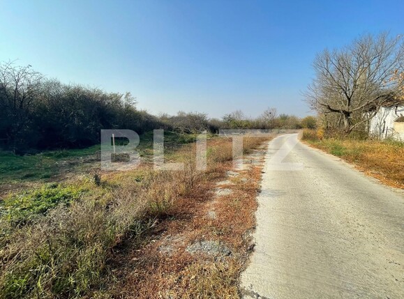 Teren de vânzare Carcea  - 103533TV | BLITZ Craiova | Poza1