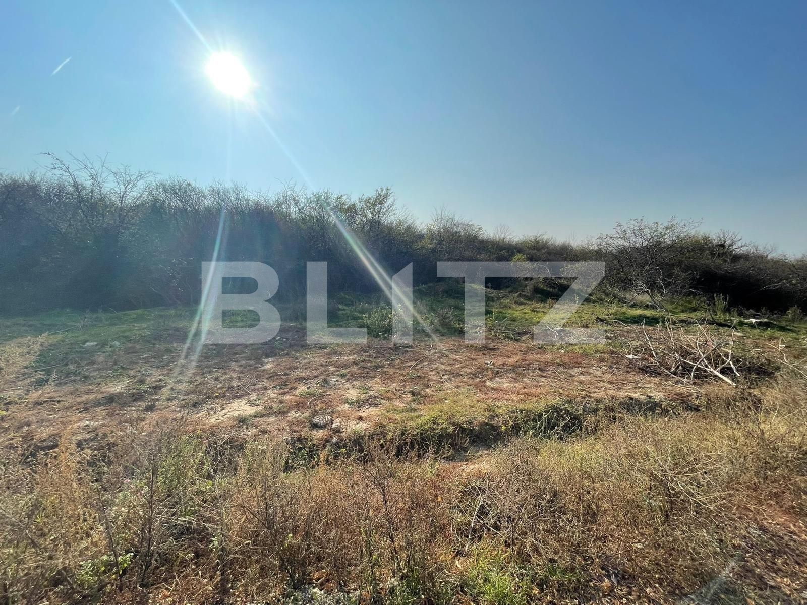 Teren de vânzare Carcea  - 103533TV | BLITZ Craiova | Poza4