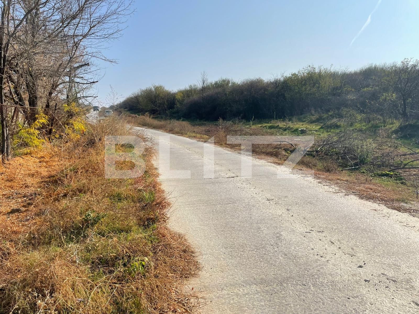 Teren de vânzare Carcea  - 103533TV | BLITZ Craiova | Poza3