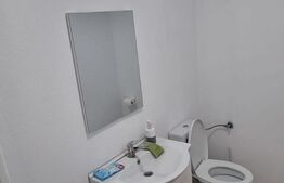 Casa 8 camere, 2 bai, 311 mp teren, zona Stadion 