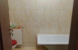 Garsoniera, 48 mp utili, etaj intermediar, 1 Mai