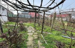 Teren de 682 mp, casa de 55 mp utili, Cernele