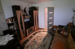 Apartament 3 camere, 53 mp, valea Rosie, zona Profi