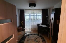 Apartament 3 camere, 53 mp, valea Rosie, zona Profi