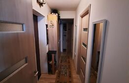 Apartament 3 camere, 53 mp, valea Rosie, zona Profi