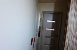 Apartament 3 camere, 53 mp, valea Rosie, zona Profi