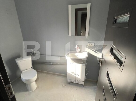 Spațiu industrial de vânzare Bariera Valcii - 103781SVI | BLITZ Craiova | Poza5