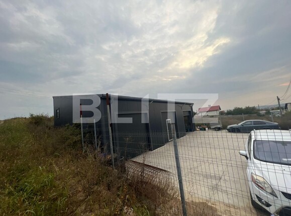 Spațiu industrial de vânzare Bariera Valcii - 103781SVI | BLITZ Craiova | Poza3