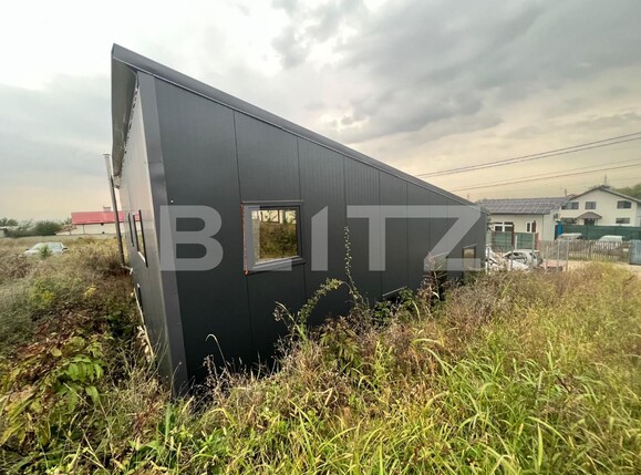 Spațiu industrial de vânzare Bariera Valcii - 103781SVI | BLITZ Craiova | Poza11