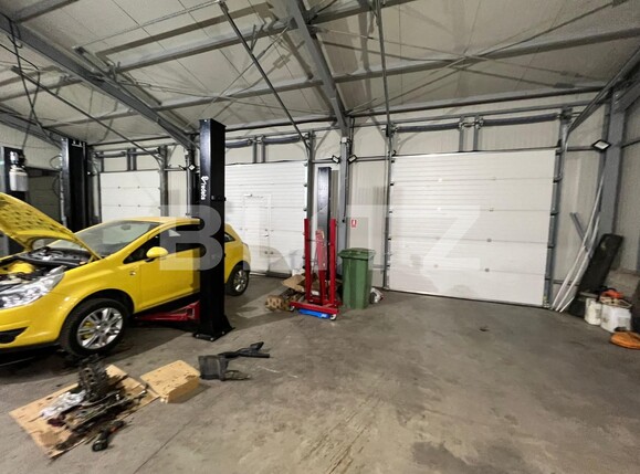 Spațiu industrial de vânzare Bariera Valcii - 103781SVI | BLITZ Craiova | Poza9