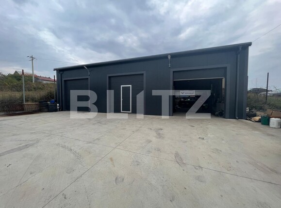 Spațiu industrial de vânzare Bariera Valcii - 103781SVI | BLITZ Craiova | Poza1