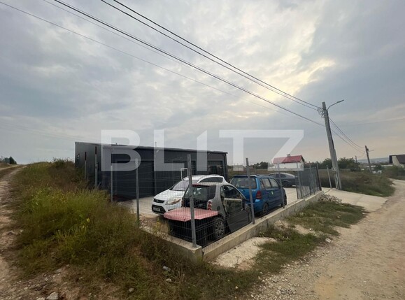 Spațiu industrial de vânzare Bariera Valcii - 103781SVI | BLITZ Craiova | Poza2
