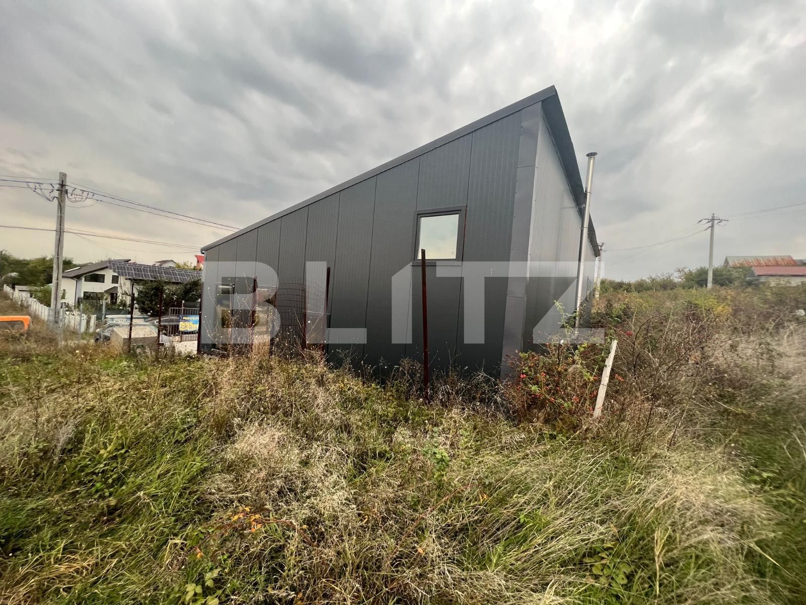 Spațiu industrial de vânzare Bariera Valcii - 103781SVI | BLITZ Craiova | Poza13