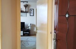 Apartament 2 camere, 50 mp, Calea Severinului, zona Botanica