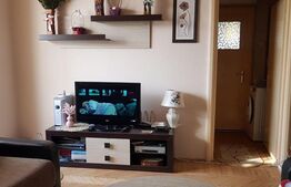 Apartament 2 camere, 50 mp, Calea Severinului, zona Botanica