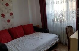 Apartament 2 camere, 50 mp, Calea Severinului, zona Botanica