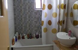 Apartament 2 camere, 50 mp, Calea Severinului, zona Botanica