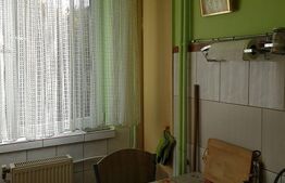 Apartament 2 camere, 50 mp, Calea Severinului, zona Botanica