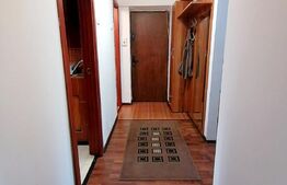 Apartament de 3 camere, 78 mp, pet friendly, zona Brazda lui Novac