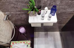 Apartament cu 1 camera, 30 mp, parter, 1 Mai