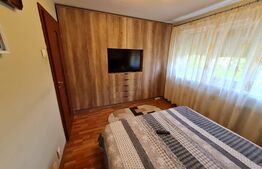 Apartament 2 camere, 53 mp, Rovine, zona Profi