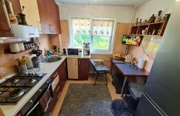 Apartament 2 camere, 53 mp, Rovine, zona Profi