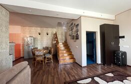 Casa 250 mp utili cu 650 mp teren, zona Brestei-Ambasador