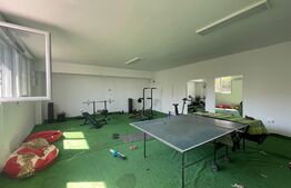 Casa 250 mp utili cu 650 mp teren, zona Brestei-Ambasador