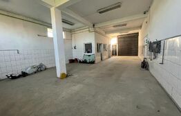 Casa 250 mp utili cu 650 mp teren, zona Brestei-Ambasador