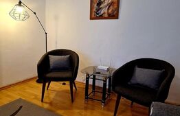 Apartament 2 camere, centrala termica, AC, zona 1 Mai