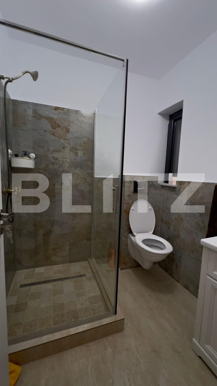 Apartament de închiriat 2 camere Lapus - 104062AI | BLITZ Craiova | Poza10