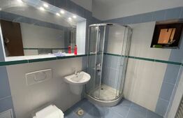 Apartament 2 camere, centrala termica, terasa, zona Brestei