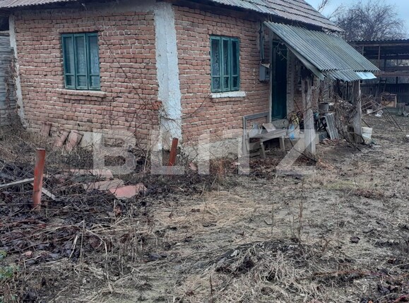 Casa de vânzare 2 camere Filiaşi - 104212CV | BLITZ Craiova | Poza3