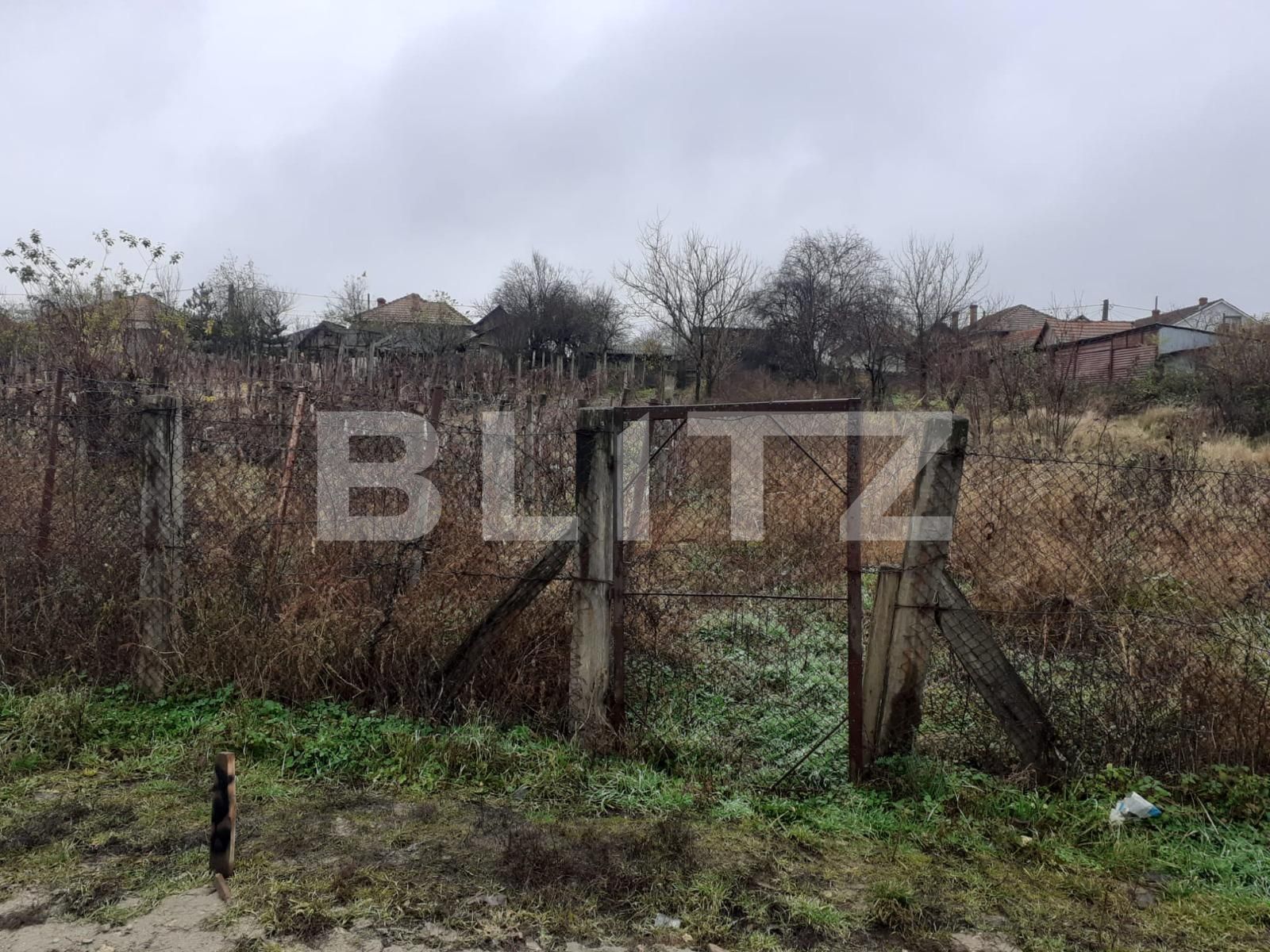 Casa de vânzare 2 camere Filiaşi - 104212CV | BLITZ Craiova | Poza2