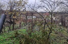 Teren de 1106 mp, intravilan, zona Centrala-Filiasi