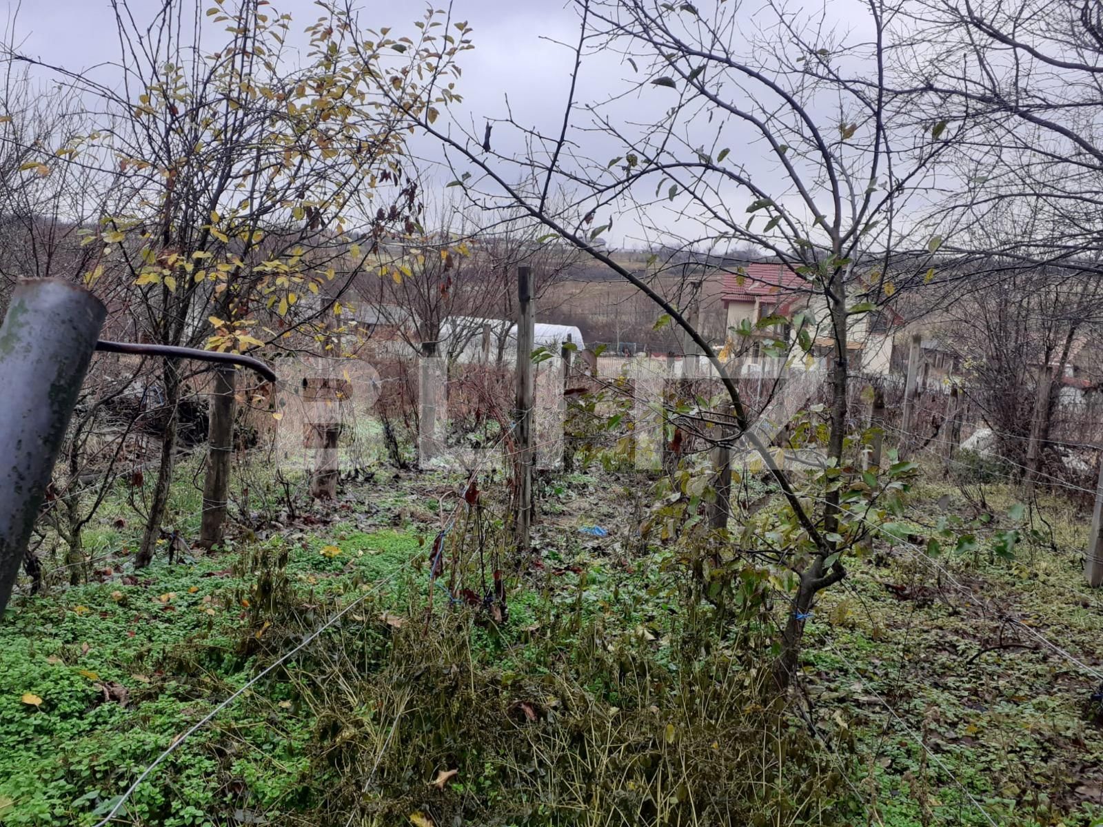 Teren de vânzare Filiaşi - 104215TV | BLITZ Craiova | Poza2