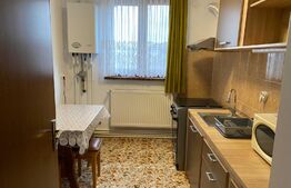 Garsoniera la casa, 50 mp, Popoveni