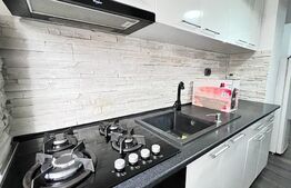 Garsoniera spatioasa de 40 mp, mobilata modern, zona 1 Mai 