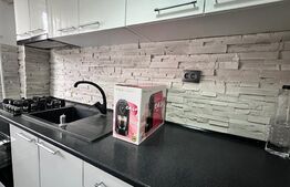 Garsoniera spatioasa de 40 mp, mobilata modern, zona 1 Mai 