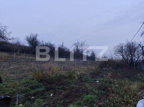 Teren de vânzare Filiaşi - 104535TV | BLITZ Craiova | Poza2