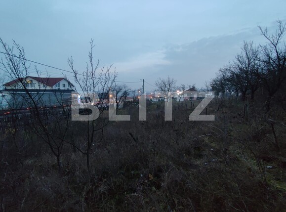 Teren de vânzare Filiaşi - 104535TV | BLITZ Craiova | Poza3