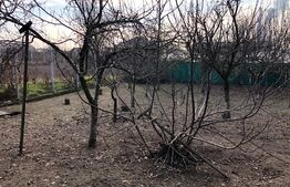 3 Case individuale , teren 860 mp, Isalnita